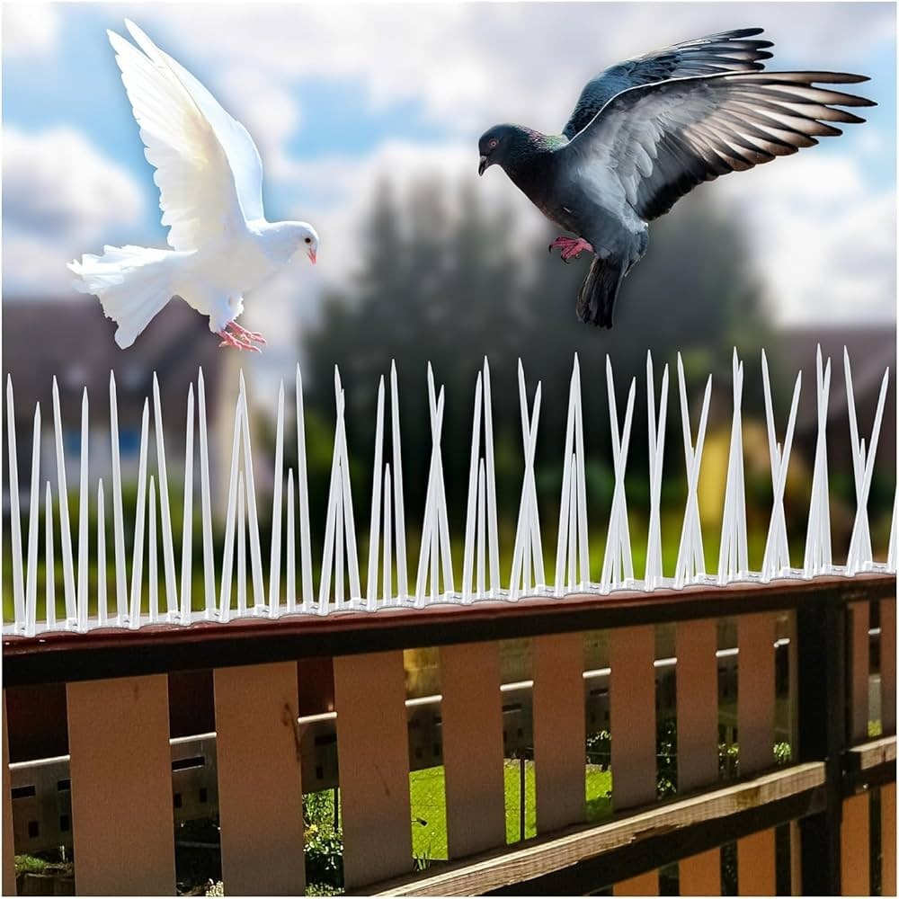 Pigeon Safety Nets & Anti-Bird Spikes